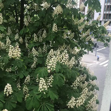 Apartment Grochowy - Stare Posen