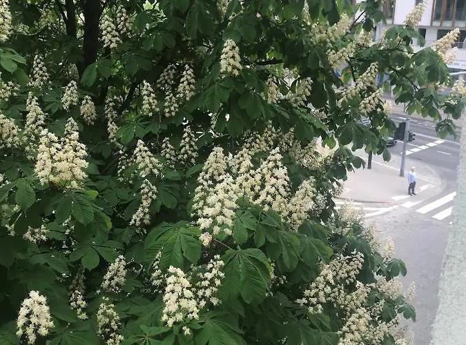 Apartman Grochowy - Stare Poznań